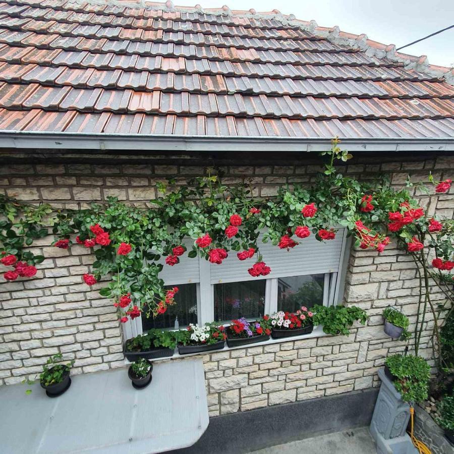Fortress Apartments Ni Extérieur photo